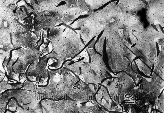 1349px-Gusseisen_mit_Lamellengraphit